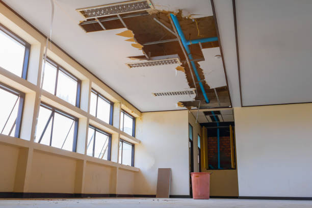 Best Carpet water damage restoration  in North Fort Lewis, WA