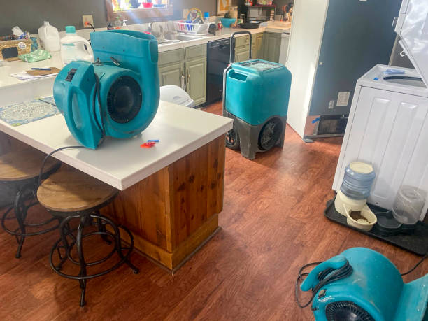 Professional Water damage restoration in North Fort Lewis, WA