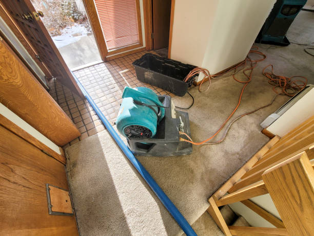 Best Residential water damage restoration  in North Fort Lewis, WA