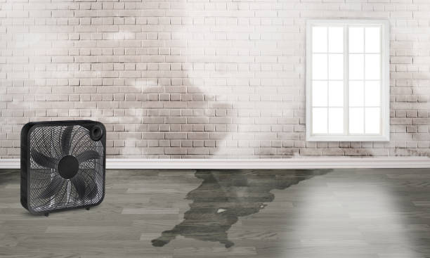 24/7 water damage repair in North Fort Lewis, WA