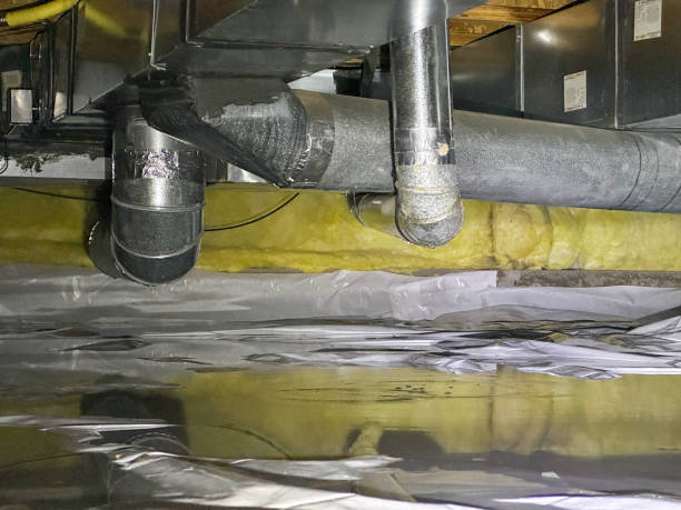 Best Ceiling water damage repair  in North Fort Lewis, WA