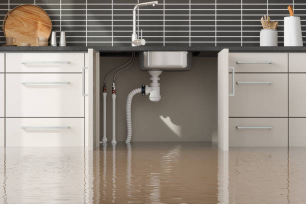 Best Local water damage restoration  in North Fort Lewis, WA